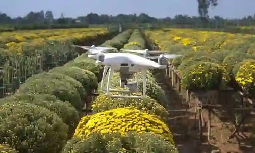 Conteo de Plantas y Árboles con Imágenes de Drones Usando Datos RGB y Multiespectrales